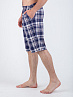 Бриджи мужские М-190 Дэни 